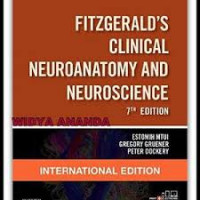 Fitzgerald's Clinical Neuroanatomy and Neuroscience 7 Th Edition